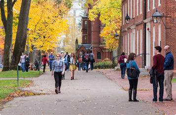 电话呼叫软件网页版